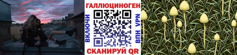 omg ТОР  это Telegram  Оха  Псилоцибиновые грибы прущие грибы  где найти  